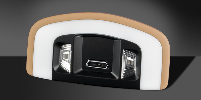 Luz interior de lectura con luz ambiente en LED (Porsche Panamera)